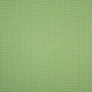 Dominica # 251 Green by Maxwell Fabric