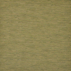 Dryden # 59 Grass by Maxwell Fabric