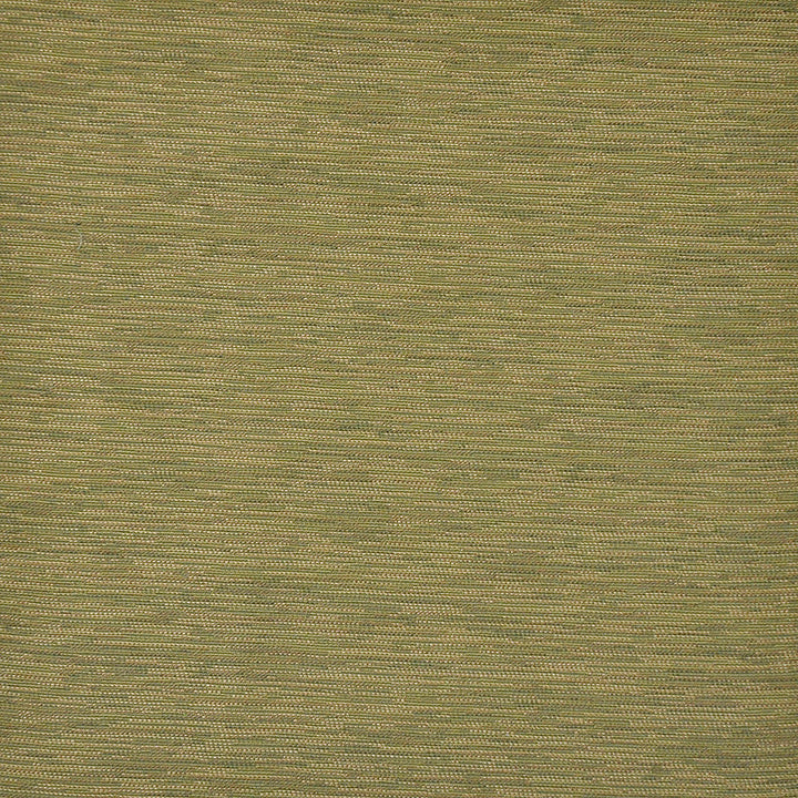 Dryden # 59 Grass by Maxwell Fabric PURE & SIMPLE IV 100% POLYESTER INDIA See sample </p><p>Repeat: Horizontal: and Vertical: 54" - Fabric Carolina -