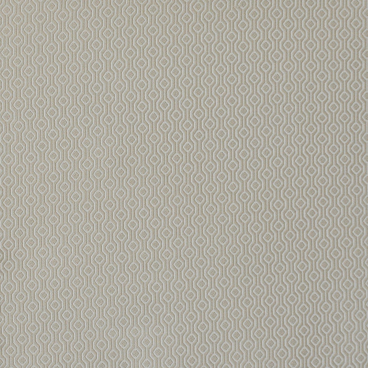 Deja Vu # 4035 Oatmeal by Maxwell Fabric PERFORMANCE WOVENS-VOL.I WHITE SAND 78% RAYON/22% POLYESTER USA See sample </p><p>Repeat: Horizontal: 0.9" and Vertical: 0.9" 57.75" - Fabric Carolina -