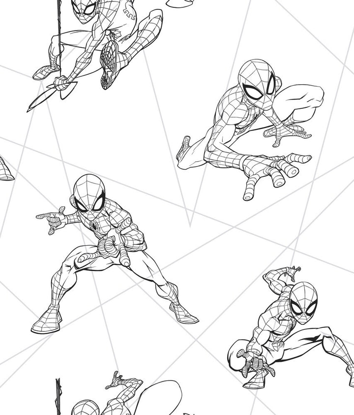 Spider-Man Fracture Black & Grey Wallpaper by York Wallcoverings Disney Kids Vol. 4 Covers about 56.4 square feet 20.5-in by 33-ft long roll Unpasted 24 - Fabric Carolina -