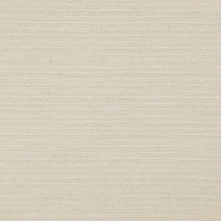 Darwin # 701 Sand by Maxwell Fabric Pure & Simple Vii 100% POLYESTER INDIA 55" - Fabric Carolina -