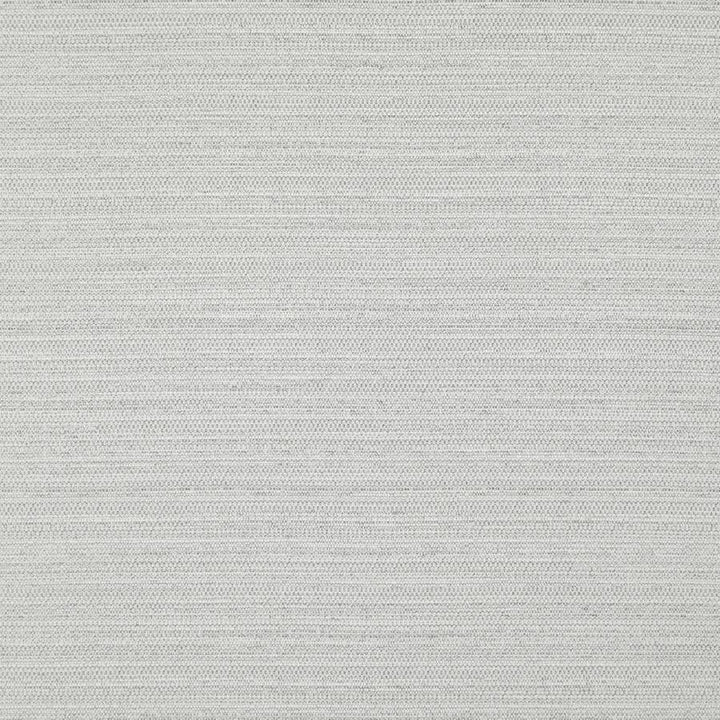 Darwin # 703 Silver by Maxwell Fabric Pure & Simple Vii 100% POLYESTER INDIA 55" - Fabric Carolina -