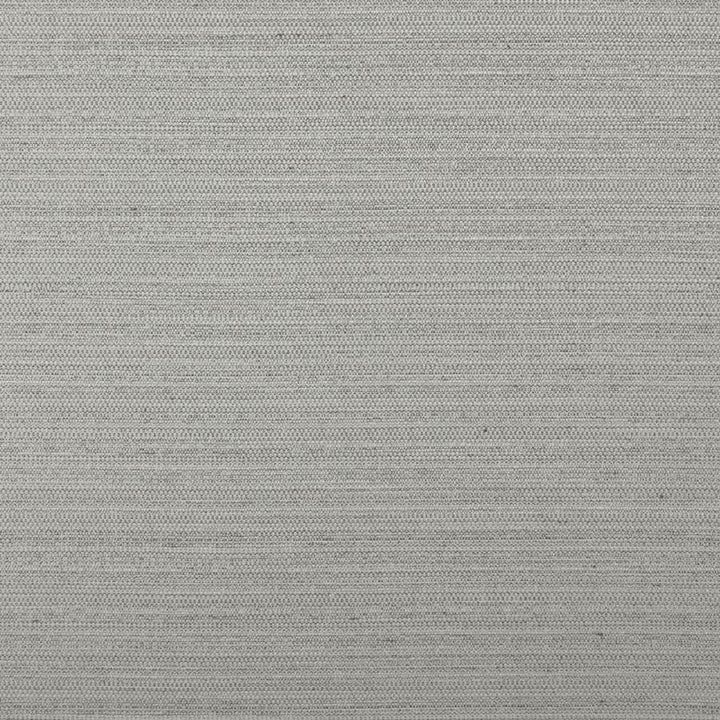 Darwin # 704 Feather by Maxwell Fabric Pure & Simple Vii 100% POLYESTER INDIA 55" - Fabric Carolina -