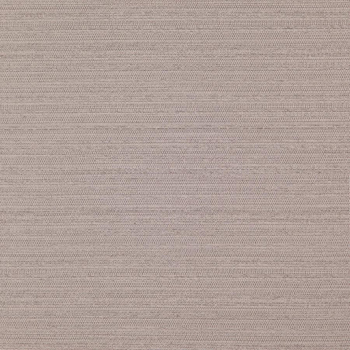 Darwin # 707 Quartz by Maxwell Fabric Pure & Simple Vii 100% POLYESTER INDIA 55" - Fabric Carolina -