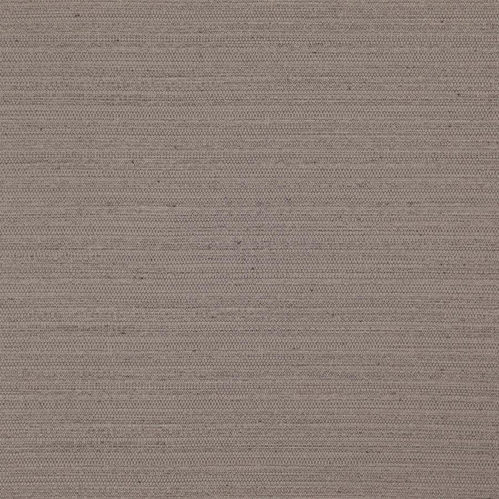 Darwin # 708 Chinchilla by Maxwell Fabric Pure & Simple Vii 100% POLYESTER INDIA 55" - Fabric Carolina -