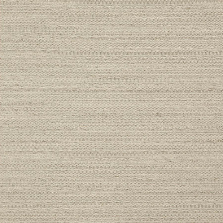 Darwin # 710 Linen by Maxwell Fabric Pure & Simple Vii 100% POLYESTER INDIA 55" - Fabric Carolina -