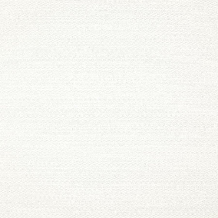 Darwin # 711 Pearl by Maxwell Fabric Pure & Simple Vii 100% POLYESTER INDIA 55" - Fabric Carolina -
