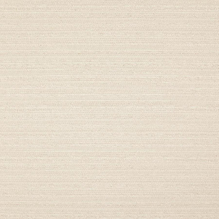 Darwin # 712 Natural by Maxwell Fabric Pure & Simple Vii 100% POLYESTER INDIA 55" - Fabric Carolina -