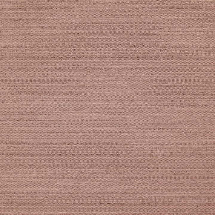 Darwin # 716 Cameo by Maxwell Fabric Pure & Simple Vii 100% POLYESTER INDIA 55" - Fabric Carolina -