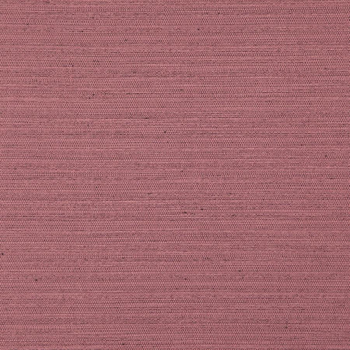 Darwin # 719 Lotus by Maxwell Fabric Pure & Simple Vii 100% POLYESTER INDIA 55" - Fabric Carolina -