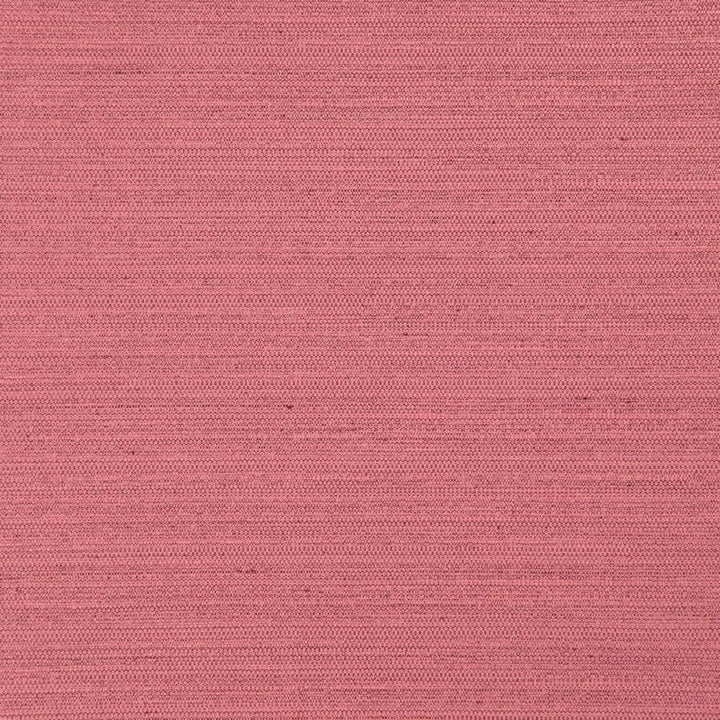 Darwin # 720 Sorbet by Maxwell Fabric Pure & Simple Vii 100% POLYESTER INDIA 55" - Fabric Carolina -