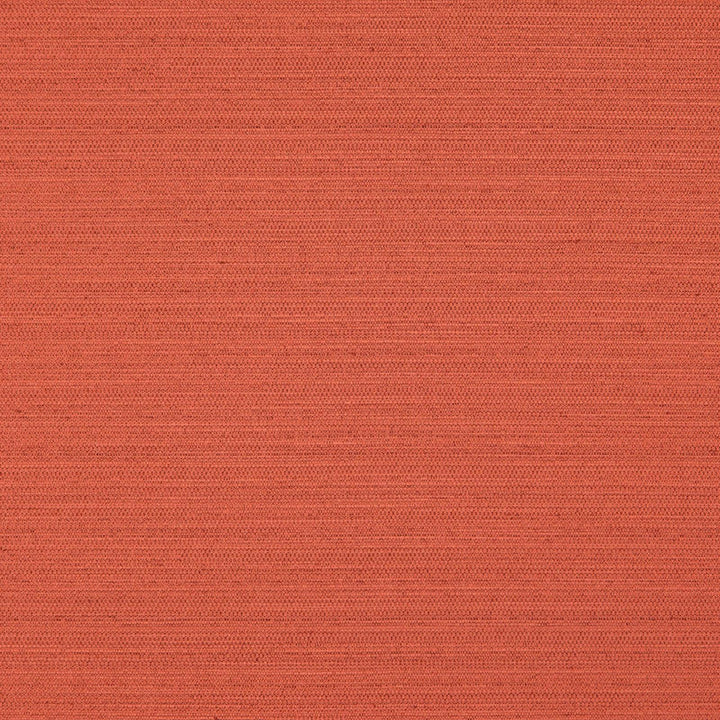 Darwin # 723 Canyon by Maxwell Fabric PURE & SIMPLE VII 100% POLYESTER INDIA See sample </p><p>Repeat: Horizontal: and Vertical: 55" - Fabric Carolina -