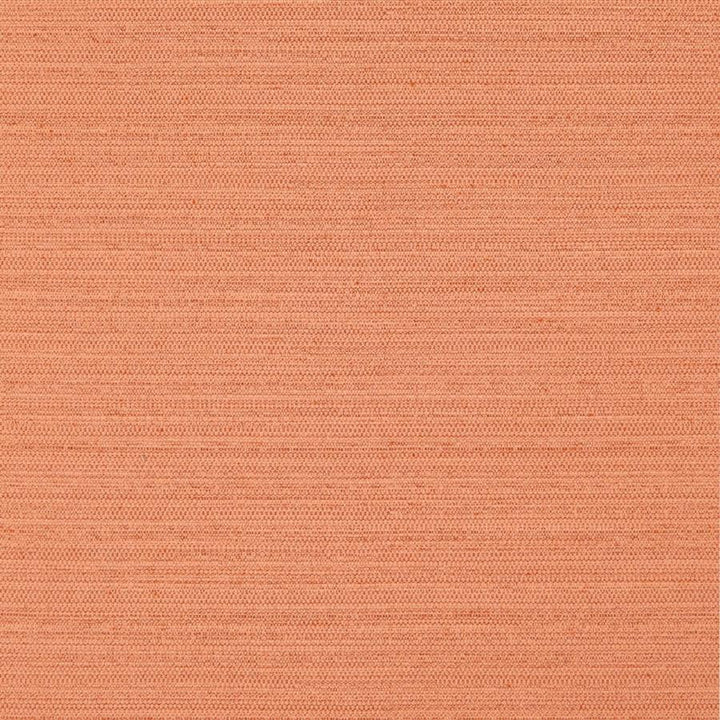 Darwin # 725 Amber by Maxwell Fabric Pure & Simple Vii 100% POLYESTER INDIA 55" - Fabric Carolina -