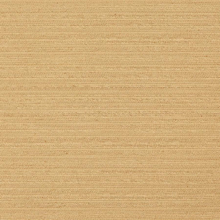 Darwin # 726 Fusion by Maxwell Designer Fabric Pure & Simple Vii 100% POLYESTER INDIA 55" - Swanky Fabrics -