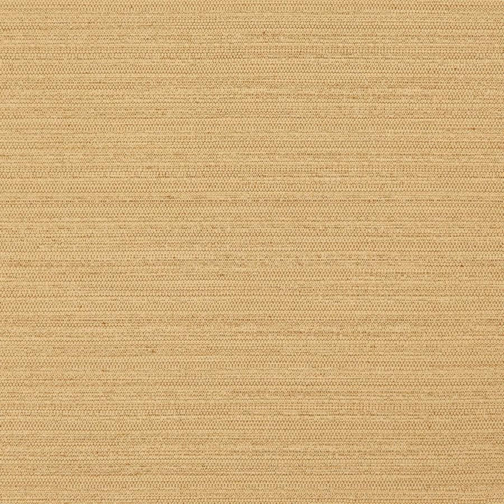Darwin # 726 Fusion by Maxwell Fabric Pure & Simple Vii 100% POLYESTER INDIA 55" - Fabric Carolina -
