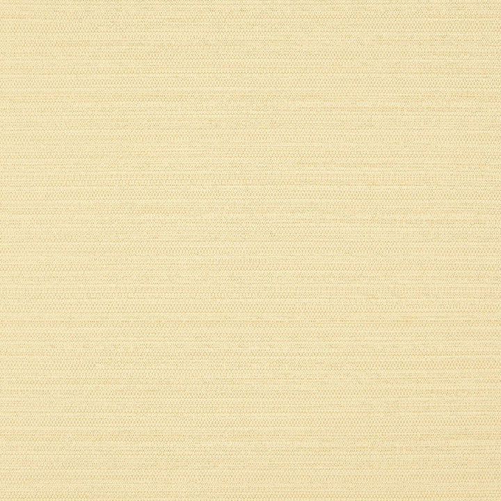 Darwin # 727 Sun by Maxwell Fabric PURE & SIMPLE VII 100% POLYESTER INDIA </p><p>Repeat: Horizontal: and Vertical: 55" - Fabric Carolina -
