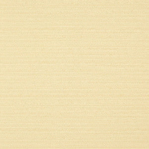 Darwin # 727 Sun by Maxwell Fabric