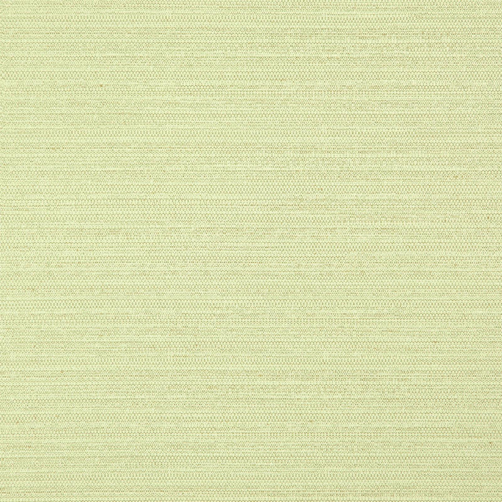 Darwin # 729 Lime by Maxwell Fabric PURE & SIMPLE VII 100% POLYESTER INDIA </p><p>Repeat: Horizontal: and Vertical: 55" - Fabric Carolina -