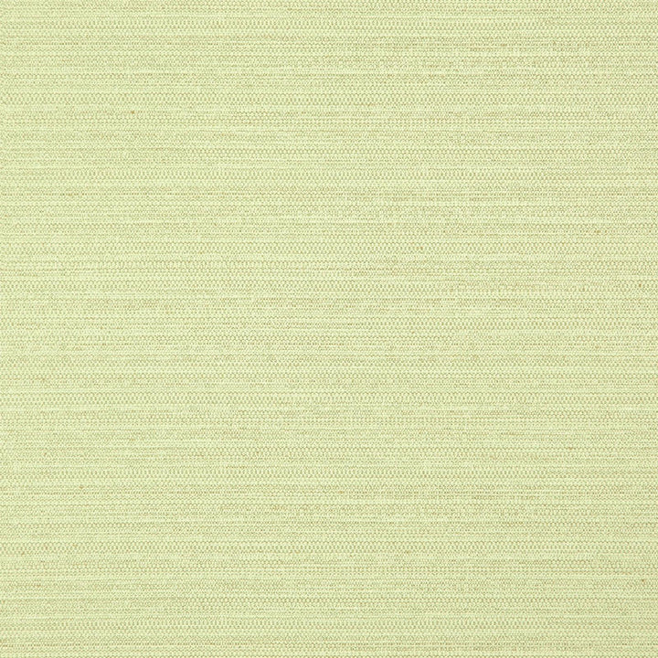 Darwin # 729 Lime by Maxwell Fabric PURE & SIMPLE VII 100% POLYESTER INDIA </p><p>Repeat: Horizontal: and Vertical: 55" - Fabric Carolina -