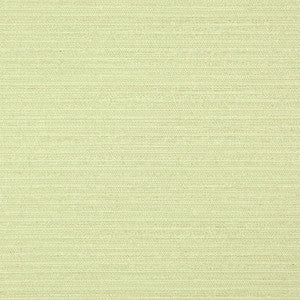 Darwin # 729 Lime by Maxwell Fabric
