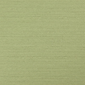 Darwin # 730 Pesto by Maxwell Fabric
