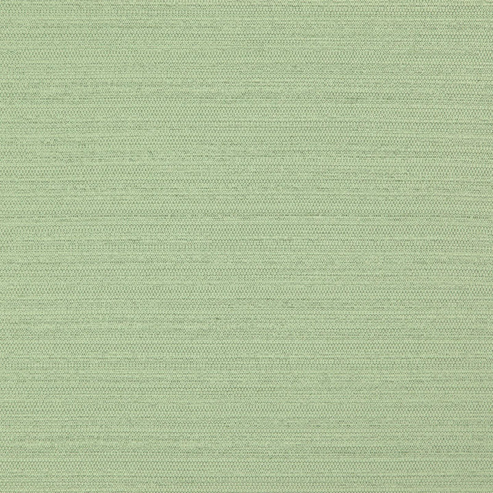 Darwin # 731 Leaf by Maxwell Fabric PURE & SIMPLE VII 100% POLYESTER INDIA See sample </p><p>Repeat: Horizontal: and Vertical: 55" - Fabric Carolina -
