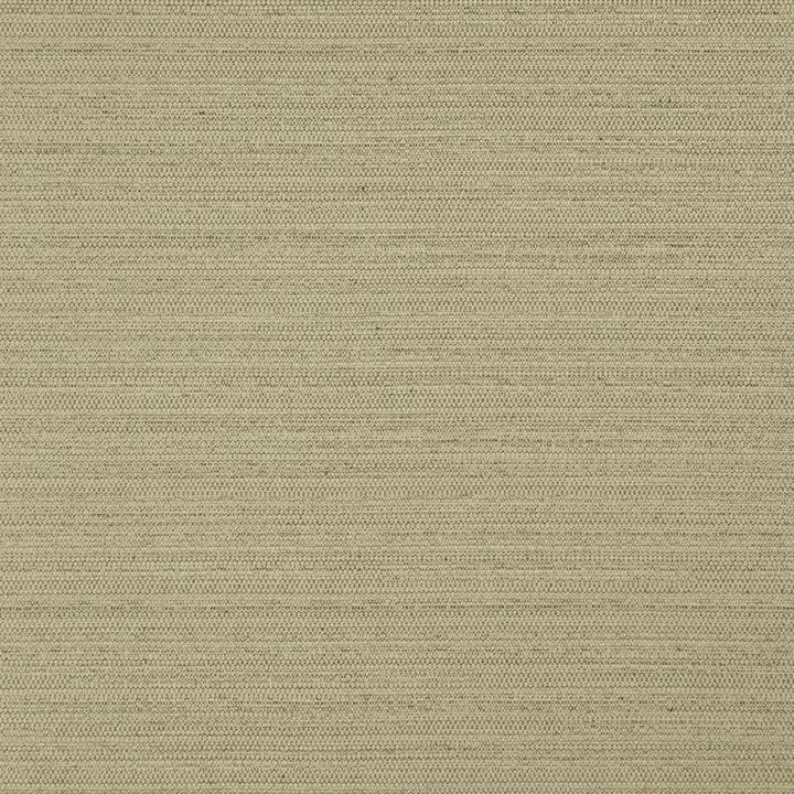 Darwin # 732 Fern by Maxwell Designer Fabric Pure & Simple Vii 100% POLYESTER INDIA 55" - Swanky Fabrics -