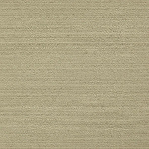 Darwin # 732 Fern by Maxwell Fabric
