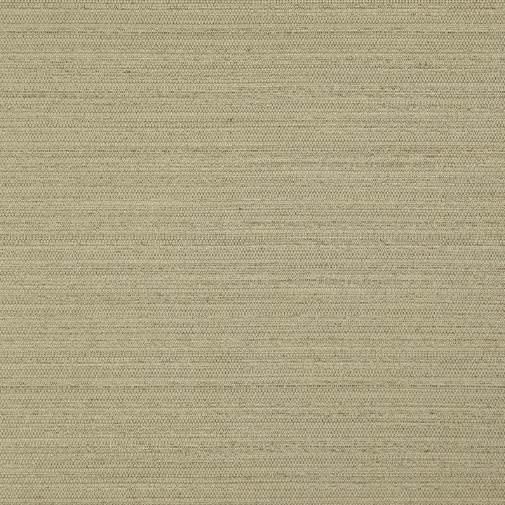Darwin # 732 Fern by Maxwell Fabric Pure & Simple Vii 100% POLYESTER INDIA 55" - Fabric Carolina -