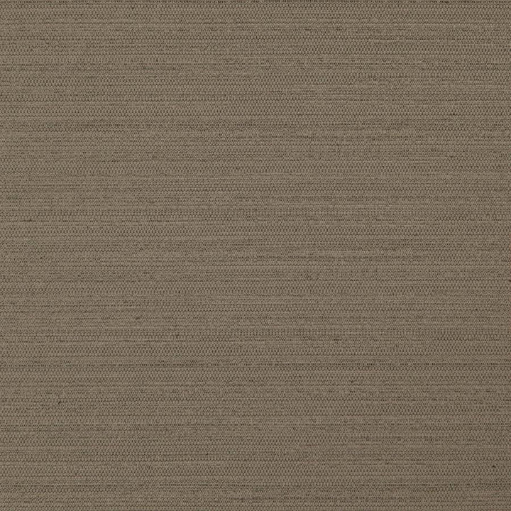 Darwin # 738 Cocoa by Maxwell Fabric Pure & Simple Vii 100% POLYESTER INDIA 55" - Fabric Carolina -