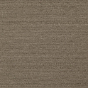 Darwin # 738 Cocoa by Maxwell Fabric