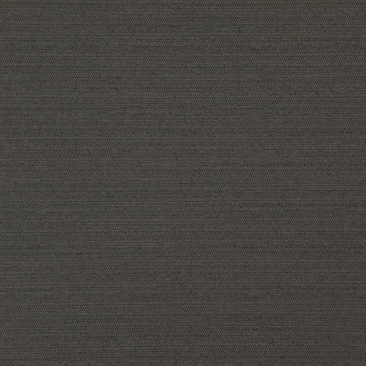 Darwin # 739 Coal by Maxwell Fabric Pure & Simple Vii 100% POLYESTER INDIA 55" - Fabric Carolina -