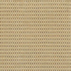 Dice 2 Wheat by Sunbrella Fabric