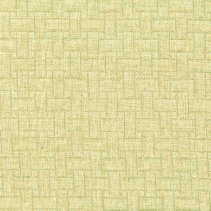 Difference 1 Aloe by Stout Fabric