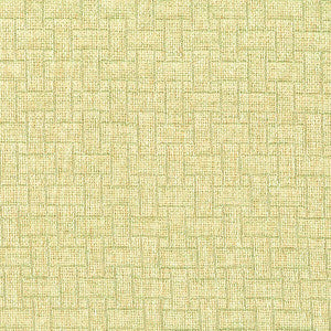 Difference 1 Aloe by Stout Fabric