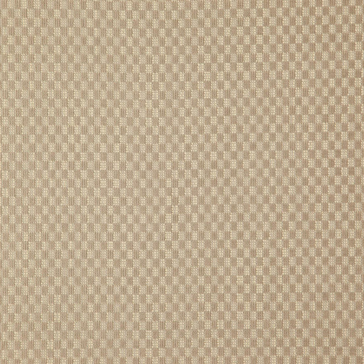 DIGITAL 93J7911 by JF Fabric Arcadia Fibreguard 54% Acrylic, 43% Polyester, 3% Viscose Turkey Horizontal: 0.5 and Vertical: 0.75 55 - Fabric Carolina -