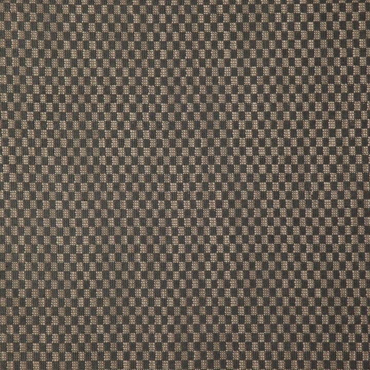 Digital 97J7911 by JF Fabric Arcadia Fibreguard 54% Acrylic, 43% Polyester, 3% Viscose Turkey 45000 Horizontal: 0.5 and Vertical: 0.75 55 - Fabric Carolina -
