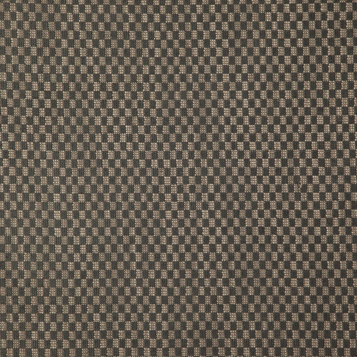 DIGITAL 97J7911 by JF Fabric Arcadia Fibreguard 54% Acrylic, 43% Polyester, 3% Viscose Turkey Horizontal: 0.5 and Vertical: 0.75 55 - Fabric Carolina -