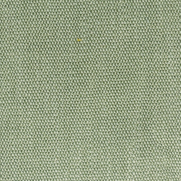Dimitri 1 Seedling by Stout Fabric Stout Fabric Dimitri 1 SeedlingFabric LIVING IS EASY SPRING/SPA 80%POL 20%SVI CHINA </p><p>Repeat: H: 0.000, V: 0.000 56 in - Fabric Carolina -