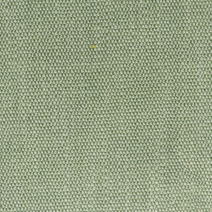 Dimitri 1 Seedling by Stout Fabric Stout Fabric Dimitri 1 SeedlingFabric LIVING IS EASY SPRING/SPA 80%POL 20%SVI CHINA </p><p>Repeat: H: 0.000, V: 0.000 56 in - Fabric Carolina -