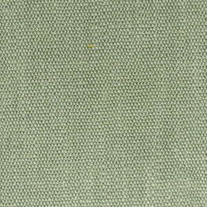 Dimitri 1 Seedling by Stout Fabric
