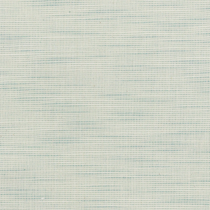 Disbelieve 1 Spa by Stout Fabric TEXTURE APPEAL 52%COT 48%POL USA CATB 117-2013 WYZENBEEK 100 000 DOUBLE RUB WEAR TEST (HEAVY DUTY) Horizontal: 0.500 and Vertical: 0.500 54 in - Fabric Carolina -