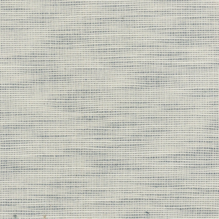 Disbelieve 2 Lake by Stout Fabric TEXTURE APPEAL 52%COT 48%POL USA CATB 117-2013 WYZENBEEK 100 000 DOUBLE RUB WEAR TEST (HEAVY DUTY) Horizontal: 0.500 and Vertical: 0.500 54 in - Fabric Carolina -