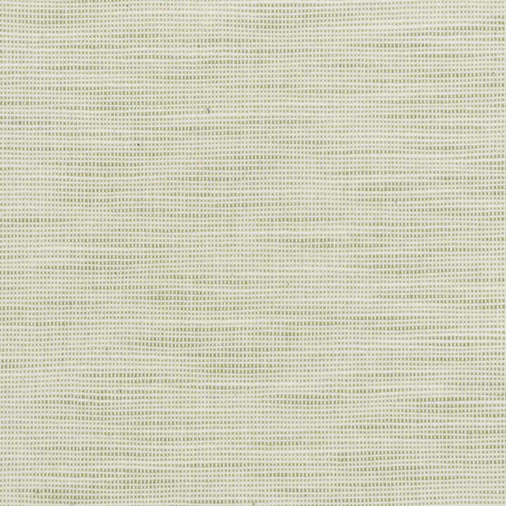 Disbelieve 3 Pear by Stout Fabric TEXTURE APPEAL 52%COT 48%POL USA PERFORMANCE RATED FABRIC FLAME RETARDANT-U.F.A.C. CLASS 1 CATB 117-2013 WYZENBEEK 30 000 DOUBLE RUB WEAR TEST (HEAVY DUTY) Horizontal: 0.500 and Vertical: 0.500 54 in - Fabric Carolina -