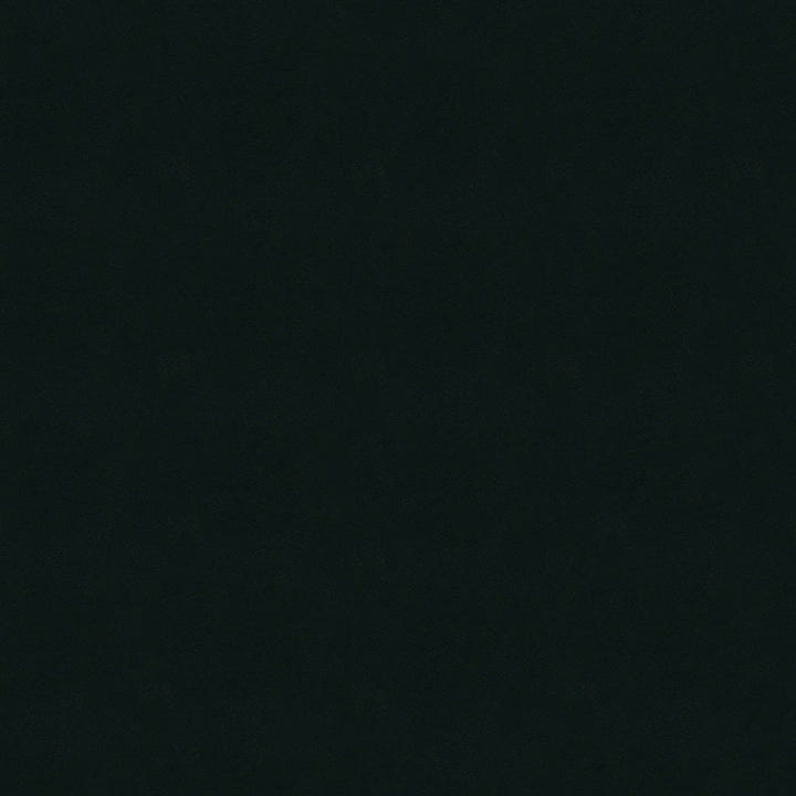 Display Fab 9009 Black 57 " by ABBEYSHEA Fabric 100% Nylon China </p><p>Repeat: Horizontal: and Vertical: 57" (144 cm) - Fabric Carolina -