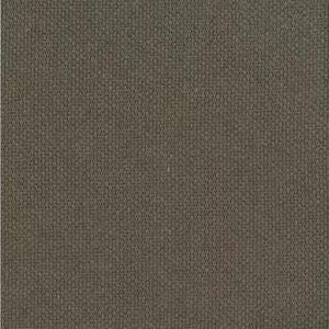 Dixie Jungle 338 by Norbar Fabric Color/BROWN-TAN 100% POLYESTER CHINA 51,000 WYZENBEEK 56" - Fabric Carolina -