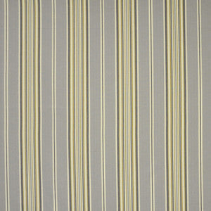 Duke # 415 Metropolitan by Maxwell Fabric