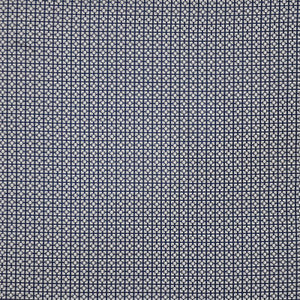 Diode # 928 Nikko by Maxwell Fabric