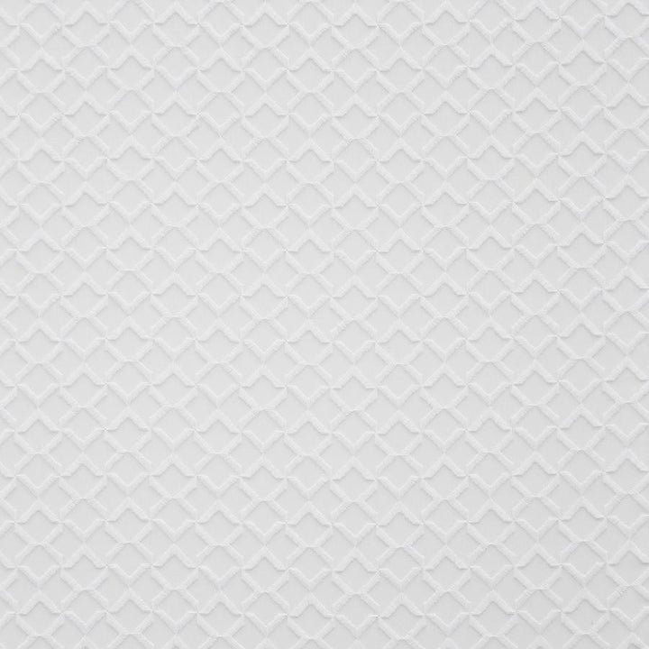 Donovan # 906 Porcelain by Maxwell Fabric 100% POLYESTER NONE TURKEY V&H-2" 118" EMB.WIDTH 106" - Fabric Carolina -